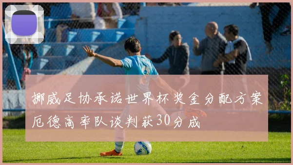 挪威足协承诺世界杯奖金分配方案厄德高率队谈判获30分成