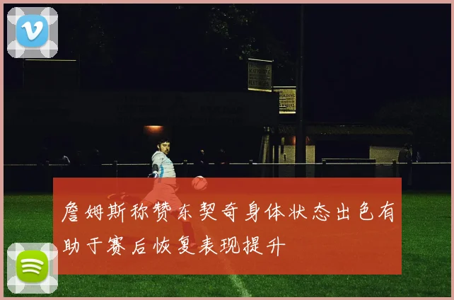 詹姆斯称赞东契奇身体状态出色有助于赛后恢复表现提升